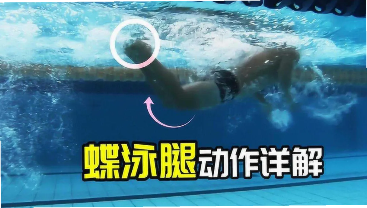蝶泳海豚打腿 示意图